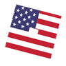 USAR emblem